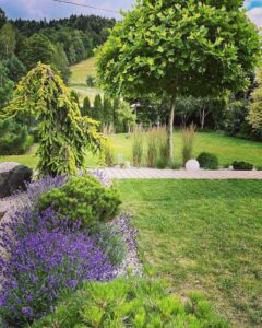 Ogród przydomowy z roślinami wyłożony trawnikiem w rolce, trawa z rolki do ogródka Katowice