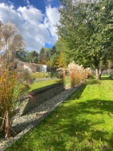 Trawnik z rolki w odbiciu lustra, trawa z rolki Kraków