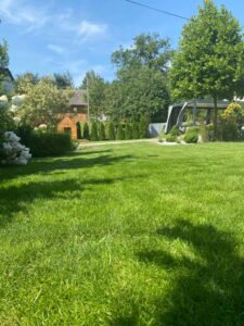 Podwórko przy domu wyłożone trawą z rolki, trawa z rolki Kraków