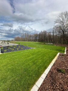 Trawnik z rolki w ogrodzie przy domu, trawa z rolki kraków