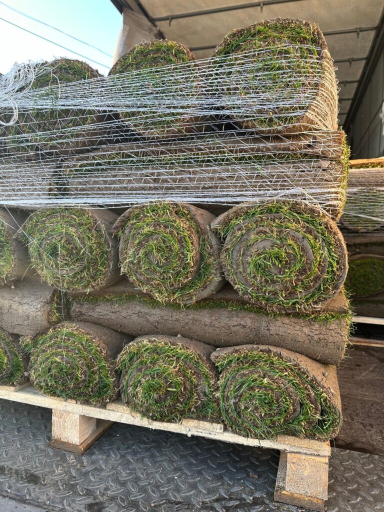 Trawa w rolkach gotowa do montażu w ogrodzie, trawa z rolki katowice