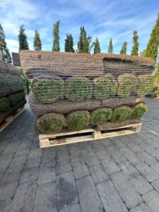 trawa z rolki katowice | trawa z rolki gotowa do montażu