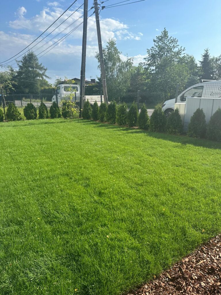 trawa z rolki katowice | trawa sportowo-ogrodowa do użytku domowego