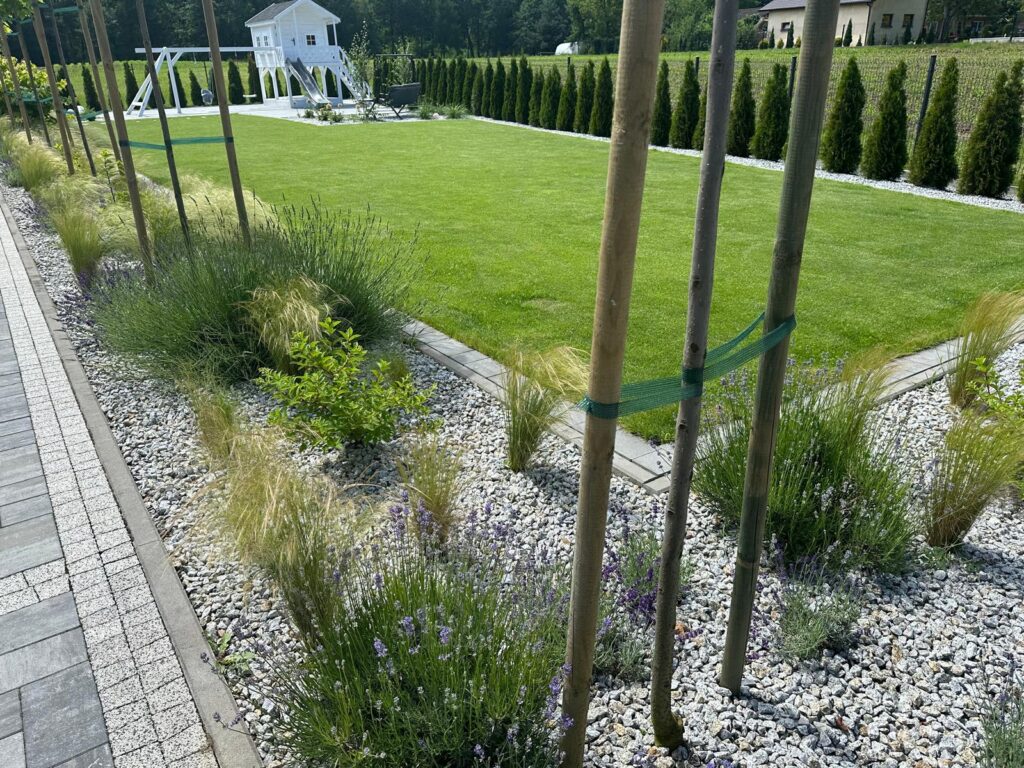 Trawa z rolki w ogrodzie | naturalna trawa w rolkach