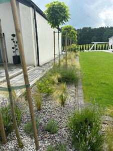 trawa z rolki w ogrodzie | trawa z rolki producent