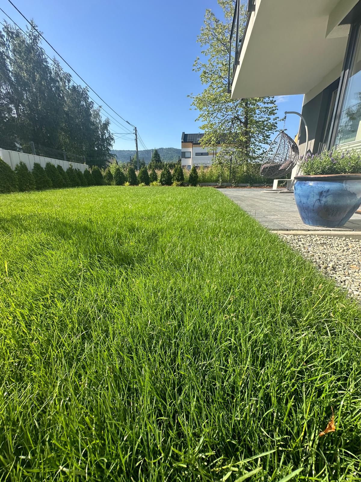 trawa z rolki producent | trawa sportowo-ogrodowa do użytku domowego | Zielone Marzenia