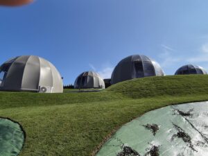 Zdjęcie WhatsApp 2025-10-17 o 12.46.05_d8c44e86